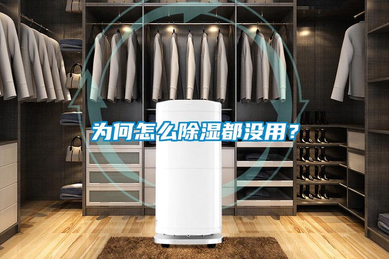 為何怎么除濕都沒用？
