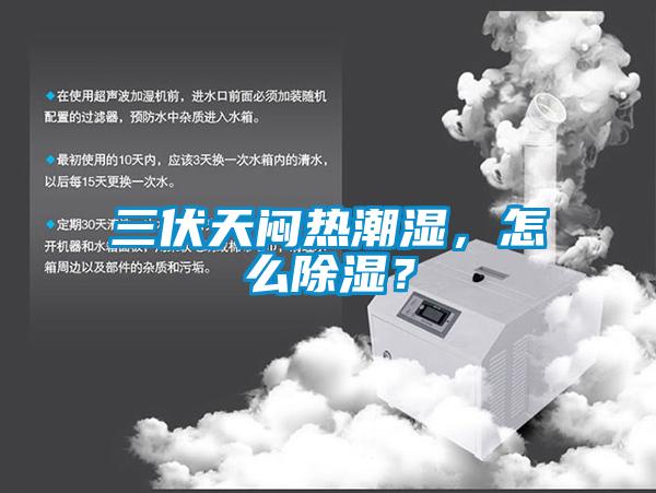 三伏天悶熱潮濕，怎么除濕？