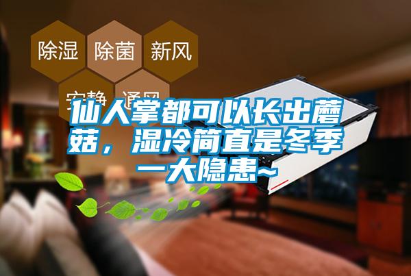 仙人掌都可以長出蘑菇，濕冷簡直是冬季一大隱患~