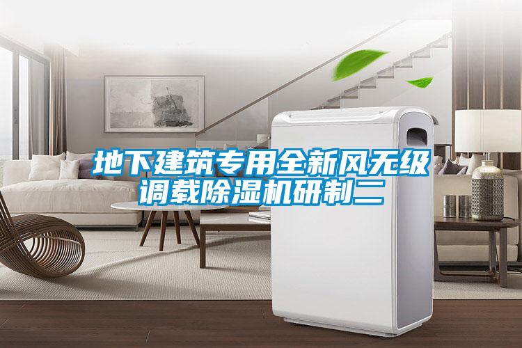 地下建筑專用全新風無級調(diào)載除濕機研制二