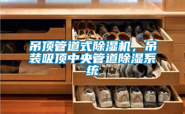 吊頂管道式除濕機(jī)，吊裝吸頂中央管道除濕系統(tǒng)