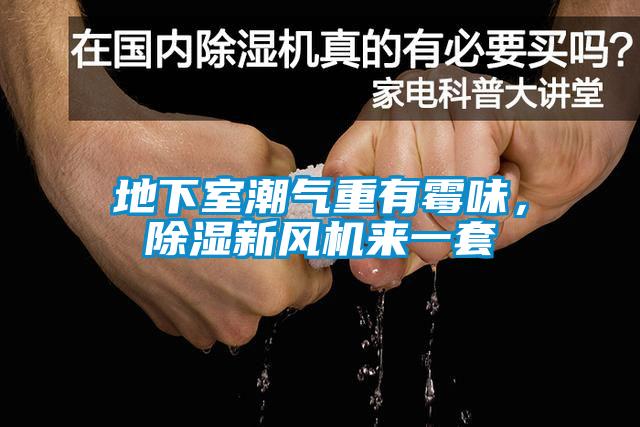 地下室潮氣重有霉味，除濕新風(fēng)機來一套