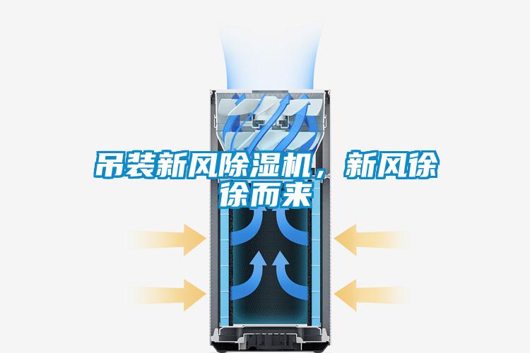 吊裝新風(fēng)除濕機(jī)，新風(fēng)徐徐而來(lái)