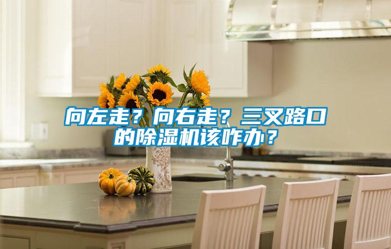 向左走？向右走？三叉路口的除濕機該咋辦？