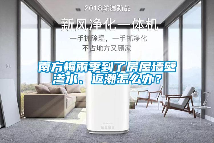 南方梅雨季到了房屋墻壁滲水、返潮怎么辦？