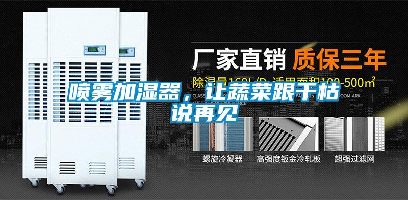 噴霧加濕器，讓蔬菜跟干枯說再見