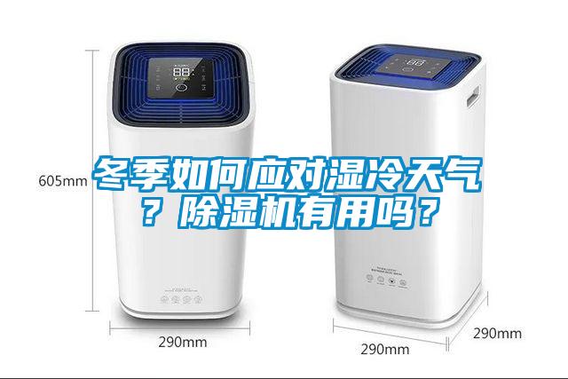 冬季如何應(yīng)對濕冷天氣？除濕機有用嗎？
