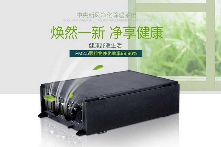 南方開啟濕冷模式，除濕機可長保干爽