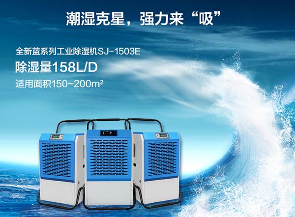 寵物倉鼠到底怕不怕梅雨季的潮濕天氣？