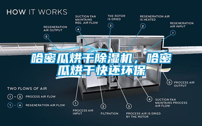 哈密瓜烘干除濕機(jī)，哈密瓜烘干快還環(huán)保