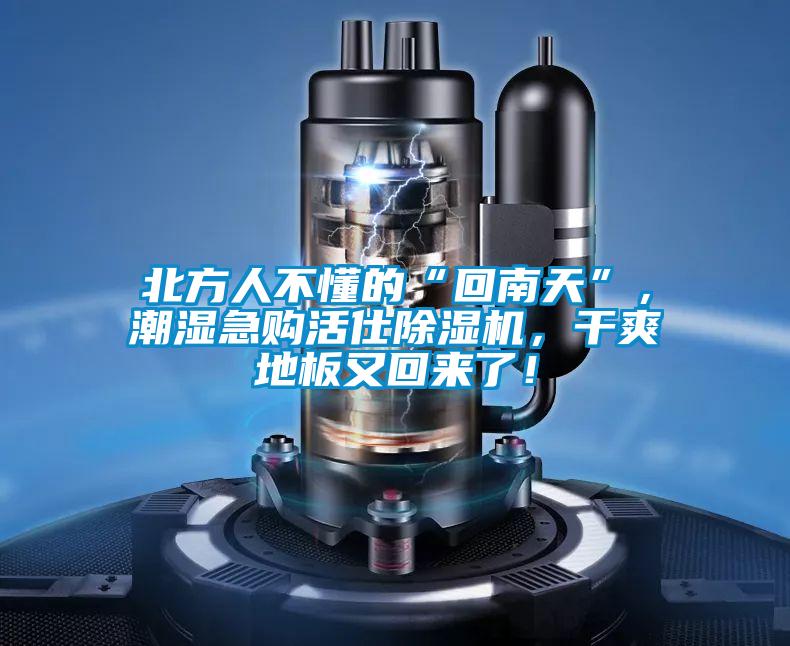 北方人不懂的“回南天”，潮濕急購活仕除濕機(jī)，干爽地板又回來了！
