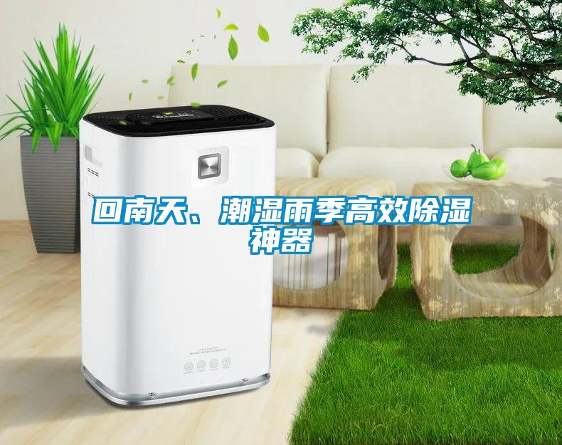 回南天、潮濕雨季高效除濕神器