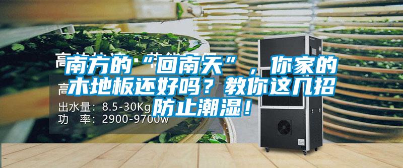 南方的“回南天”，你家的木地板還好嗎？教你這幾招防止潮濕！