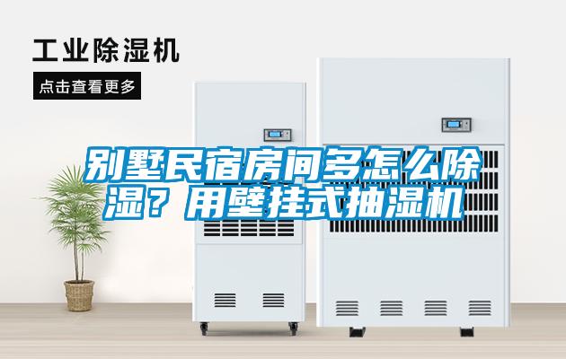 別墅民宿房間多怎么除濕？用壁掛式抽濕機(jī)