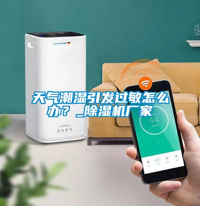 天氣潮濕引發(fā)過敏怎么辦？_除濕機廠家