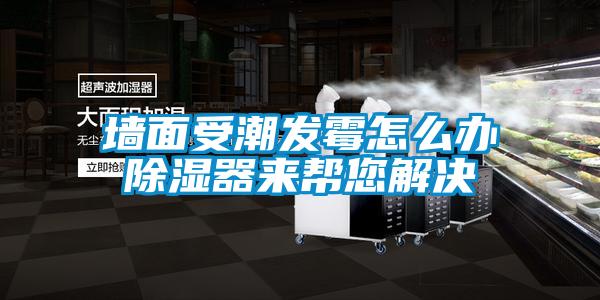 墻面受潮發(fā)霉怎么辦除濕器來(lái)幫您解決