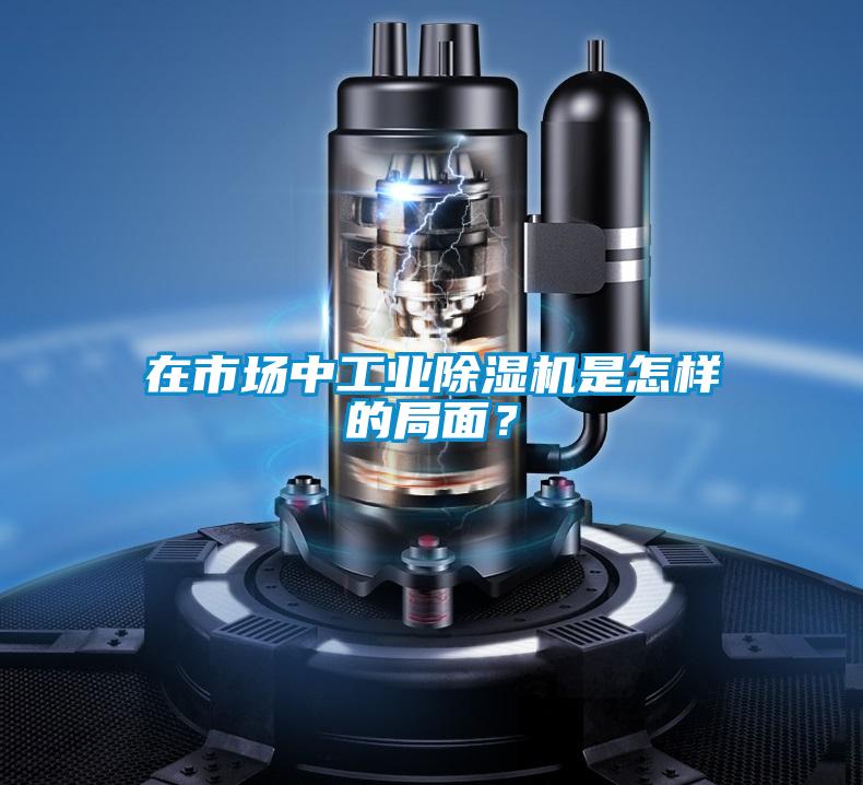 在市場中工業(yè)除濕機是怎樣的局面？