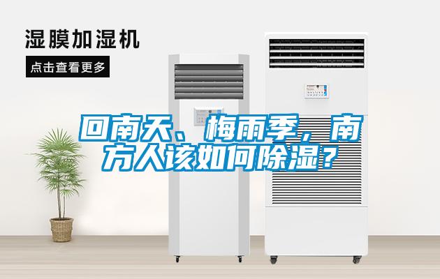 回南天、梅雨季，南方人該如何除濕？