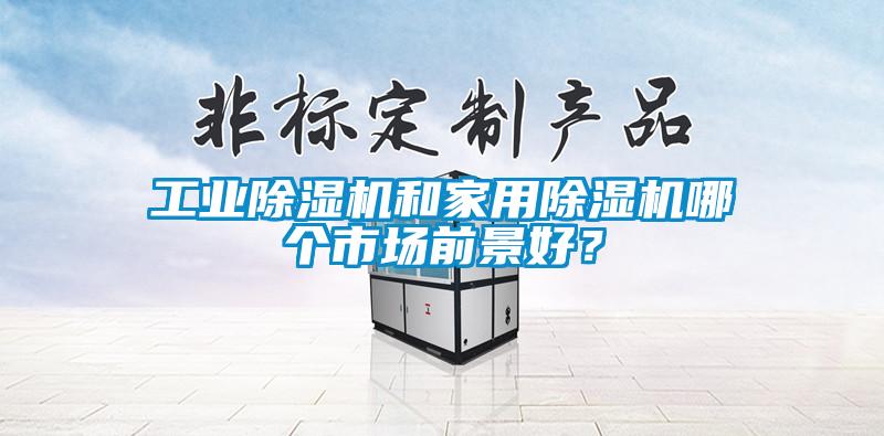 工業(yè)除濕機和家用除濕機哪個市場前景好？