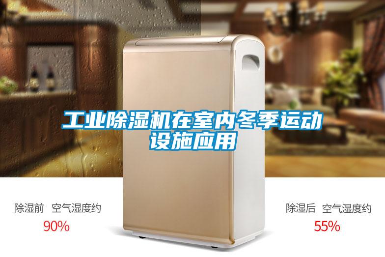 工業(yè)除濕機在室內冬季運動設施應用