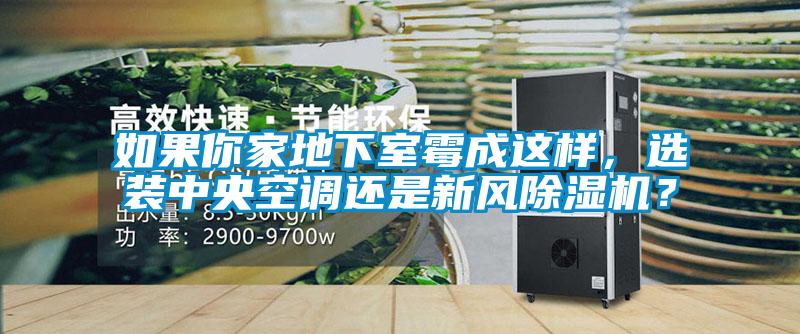 如果你家地下室霉成這樣，選裝中央空調(diào)還是新風(fēng)除濕機(jī)？