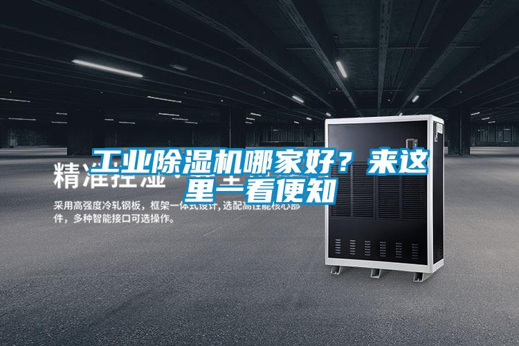 工業(yè)除濕機(jī)哪家好？來(lái)這里一看便知