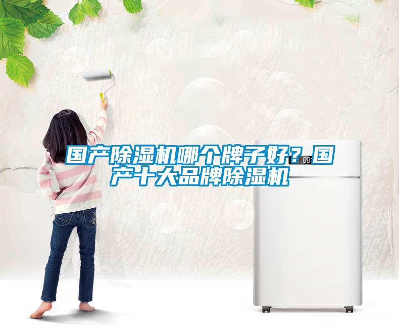 國產(chǎn)除濕機哪個牌子好?國產(chǎn)十大品牌除濕機