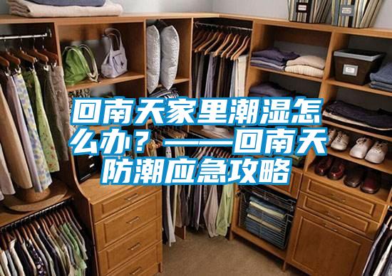 回南天家里潮濕怎么辦？——回南天防潮應(yīng)急攻略
