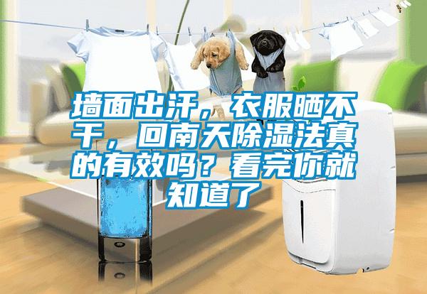 墻面出汗，衣服曬不干，回南天除濕法真的有效嗎？看完你就知道了