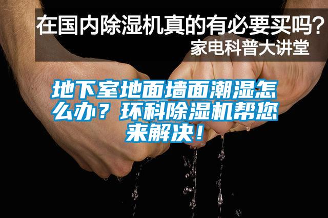 地下室地面墻面潮濕怎么辦？環(huán)科除濕機幫您來解決！