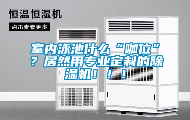 室內(nèi)泳池什么“咖位”？居然用專業(yè)定制的除濕機(jī)！??！