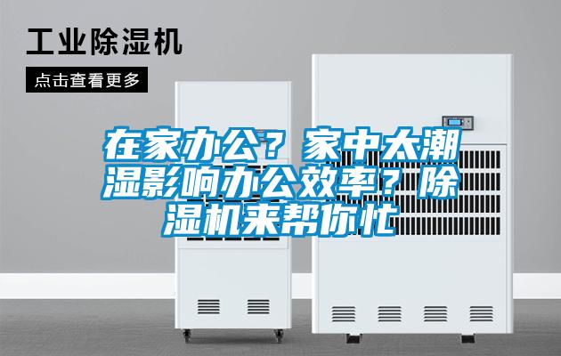 在家辦公？家中太潮濕影響辦公效率？除濕機來幫你忙