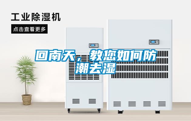 回南天，教您如何防潮去濕