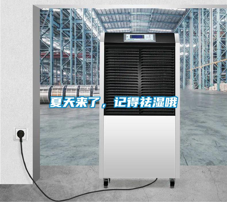 夏天來了，記得祛濕哦