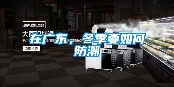 在廣東，冬季要如何防潮