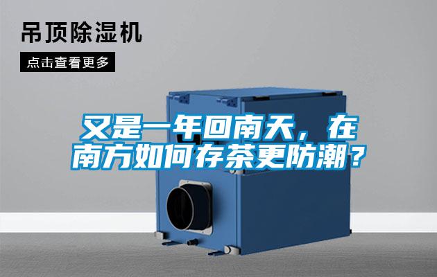 又是一年回南天，在南方如何存茶更防潮？