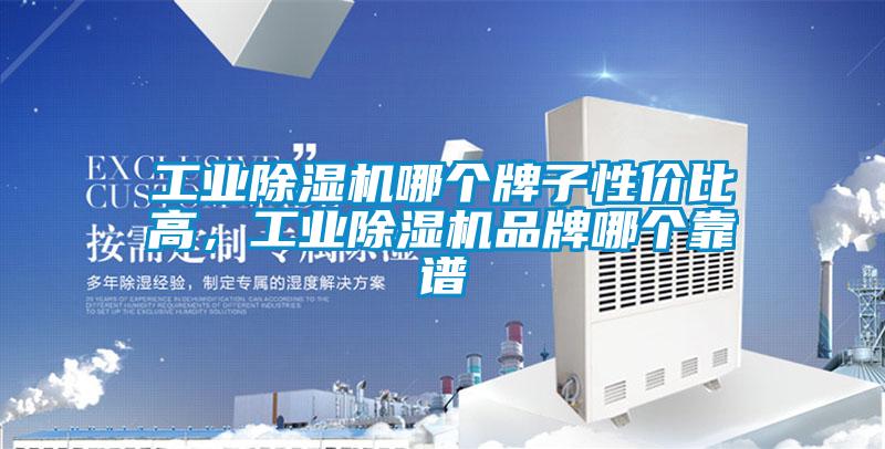 工業(yè)除濕機(jī)哪個(gè)牌子性價(jià)比高，工業(yè)除濕機(jī)品牌哪個(gè)靠譜