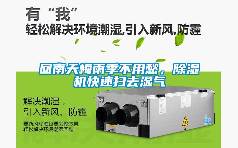 回南天梅雨季不用愁，除濕機快速掃去濕氣