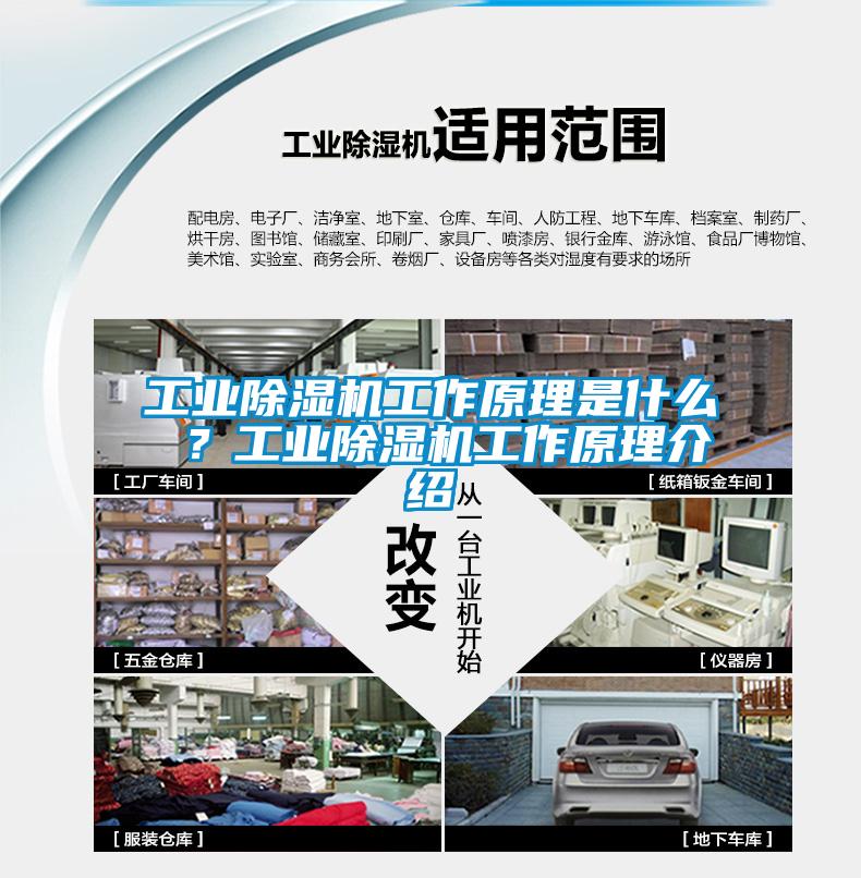 工業(yè)除濕機(jī)工作原理是什么 ？工業(yè)除濕機(jī)工作原理介紹