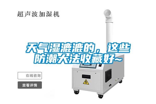 天氣濕漉漉的，這些防潮大法收藏好~