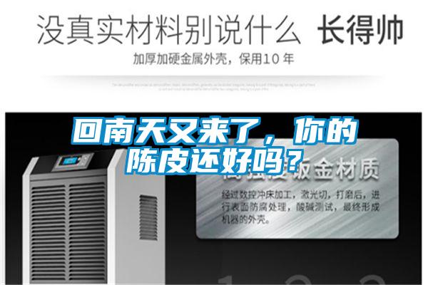 回南天又來了，你的陳皮還好嗎？