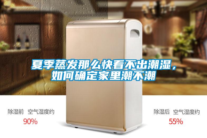 夏季蒸發(fā)那么快看不出潮濕，如何確定家里潮不潮