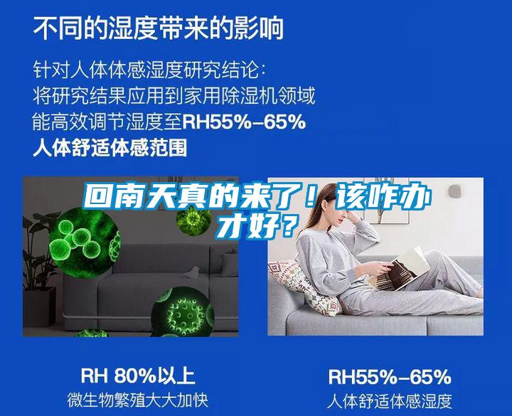 回南天真的來了！該咋辦才好？