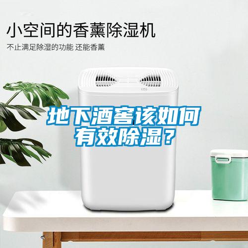 地下酒窖該如何有效除濕？