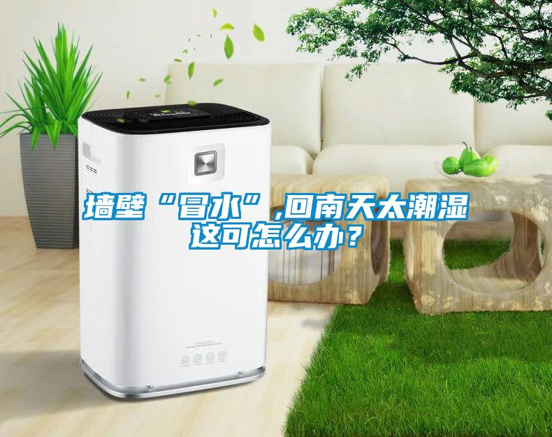 墻壁“冒水”,回南天太潮濕這可怎么辦？