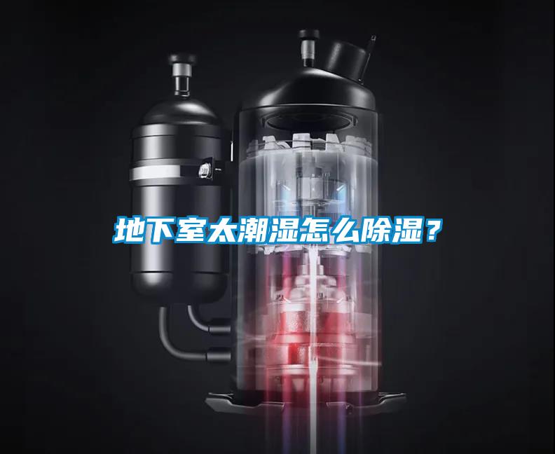 地下室太潮濕怎么除濕？