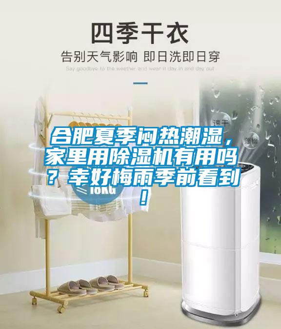 合肥夏季悶熱潮濕，家里用除濕機有用嗎？幸好梅雨季前看到！