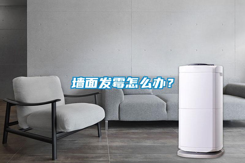 墻面發(fā)霉怎么辦？