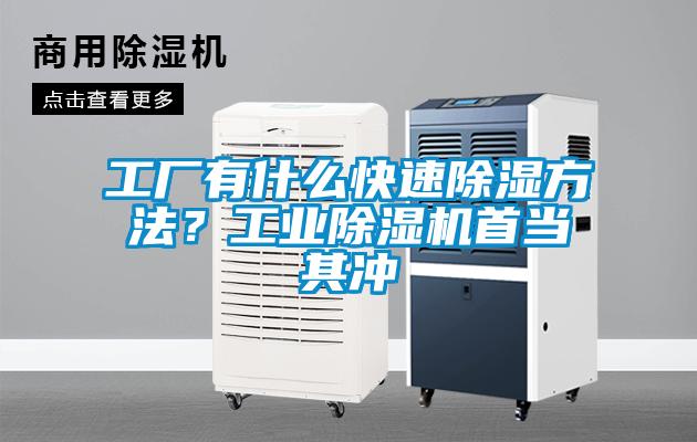 工廠有什么快速除濕方法？工業(yè)除濕機(jī)首當(dāng)其沖