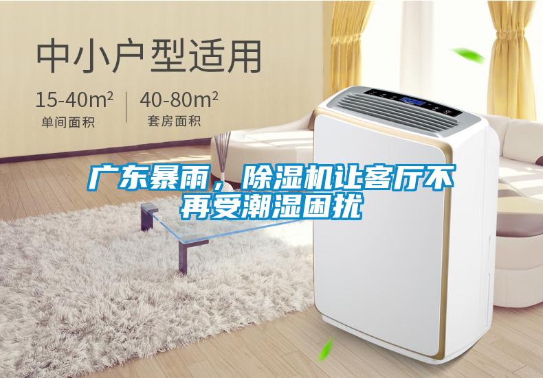 廣東暴雨，除濕機(jī)讓客廳不再受潮濕困擾